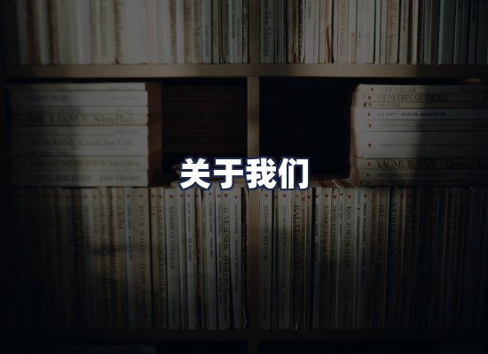 关于我们